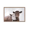 Picture of Cow buddies _GroupedProduct_Rectangle_Landscape_Framed_Matted_