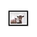 Picture of Cow buddies _GroupedProduct_Rectangle_Landscape_Framed_Matted_