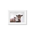 Picture of Cow buddies _GroupedProduct_Rectangle_Landscape_Framed_Matted_