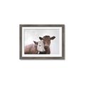 Picture of Cow buddies _GroupedProduct_Rectangle_Landscape_Framed_Matted_