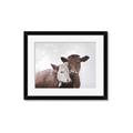Picture of Cow buddies _GroupedProduct_Rectangle_Landscape_Framed_Matted_