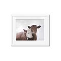 Picture of Cow buddies _GroupedProduct_Rectangle_Landscape_Framed_Matted_