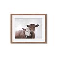 Picture of Cow buddies _GroupedProduct_Rectangle_Landscape_Framed_Matted_