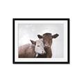 Picture of Cow buddies _GroupedProduct_Rectangle_Landscape_Framed_Matted_