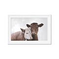 Picture of Cow buddies _GroupedProduct_Rectangle_Landscape_Framed_Matted_