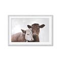 Picture of Cow buddies _GroupedProduct_Rectangle_Landscape_Framed_Matted_
