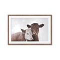 Picture of Cow buddies _GroupedProduct_Rectangle_Landscape_Framed_Matted_