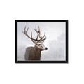 Picture of Reindeer _GroupedProduct_Rectangle_Landscape_Framed_Matted_