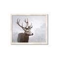 Picture of Reindeer _GroupedProduct_Rectangle_Landscape_Framed_Matted_