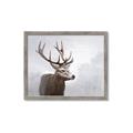 Picture of Reindeer _GroupedProduct_Rectangle_Landscape_Framed_Matted_