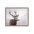 Picture of Reindeer _GroupedProduct_Rectangle_Landscape_Framed_Matted_