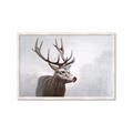 Picture of Reindeer _GroupedProduct_Rectangle_Landscape_Framed_Matted_