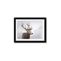 Picture of Reindeer _GroupedProduct_Rectangle_Landscape_Framed_Matted_