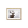 Picture of Reindeer _GroupedProduct_Rectangle_Landscape_Framed_Matted_