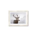 Picture of Reindeer _GroupedProduct_Rectangle_Landscape_Framed_Matted_