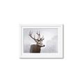 Picture of Reindeer _GroupedProduct_Rectangle_Landscape_Framed_Matted_