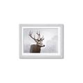 Picture of Reindeer _GroupedProduct_Rectangle_Landscape_Framed_Matted_