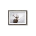 Picture of Reindeer _GroupedProduct_Rectangle_Landscape_Framed_Matted_