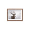 Picture of Reindeer _GroupedProduct_Rectangle_Landscape_Framed_Matted_