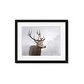 Picture of Reindeer _GroupedProduct_Rectangle_Landscape_Framed_Matted_