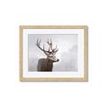 Picture of Reindeer _GroupedProduct_Rectangle_Landscape_Framed_Matted_