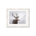 Picture of Reindeer _GroupedProduct_Rectangle_Landscape_Framed_Matted_