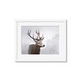 Picture of Reindeer _GroupedProduct_Rectangle_Landscape_Framed_Matted_