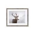 Picture of Reindeer _GroupedProduct_Rectangle_Landscape_Framed_Matted_