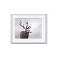 Picture of Reindeer _GroupedProduct_Rectangle_Landscape_Framed_Matted_