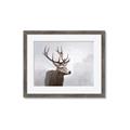 Picture of Reindeer _GroupedProduct_Rectangle_Landscape_Framed_Matted_