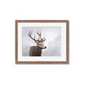 Picture of Reindeer _GroupedProduct_Rectangle_Landscape_Framed_Matted_