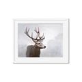 Picture of Reindeer _GroupedProduct_Rectangle_Landscape_Framed_Matted_