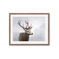 Picture of Reindeer _GroupedProduct_Rectangle_Landscape_Framed_Matted_