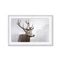 Picture of Reindeer _GroupedProduct_Rectangle_Landscape_Framed_Matted_