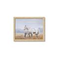 Picture of Huggable _GroupedProduct_Rectangle_Landscape_Framed_Matted_