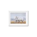 Picture of Huggable _GroupedProduct_Rectangle_Landscape_Framed_Matted_