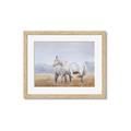 Picture of Huggable _GroupedProduct_Rectangle_Landscape_Framed_Matted_