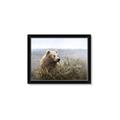 Picture of Waking Up _GroupedProduct_Rectangle_Landscape_Framed_Matted_