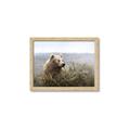 Picture of Waking Up _GroupedProduct_Rectangle_Landscape_Framed_Matted_
