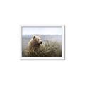 Picture of Waking Up _GroupedProduct_Rectangle_Landscape_Framed_Matted_