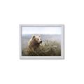 Picture of Waking Up _GroupedProduct_Rectangle_Landscape_Framed_Matted_
