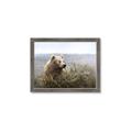Picture of Waking Up _GroupedProduct_Rectangle_Landscape_Framed_Matted_