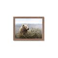 Picture of Waking Up _GroupedProduct_Rectangle_Landscape_Framed_Matted_