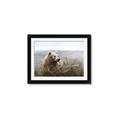 Picture of Waking Up _GroupedProduct_Rectangle_Landscape_Framed_Matted_