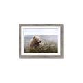 Picture of Waking Up _GroupedProduct_Rectangle_Landscape_Framed_Matted_