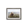Picture of Waking Up _GroupedProduct_Rectangle_Landscape_Framed_Matted_