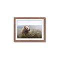 Picture of Waking Up _GroupedProduct_Rectangle_Landscape_Framed_Matted_