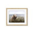 Picture of Waking Up _GroupedProduct_Rectangle_Landscape_Framed_Matted_