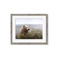 Picture of Waking Up _GroupedProduct_Rectangle_Landscape_Framed_Matted_
