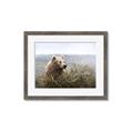Picture of Waking Up _GroupedProduct_Rectangle_Landscape_Framed_Matted_
